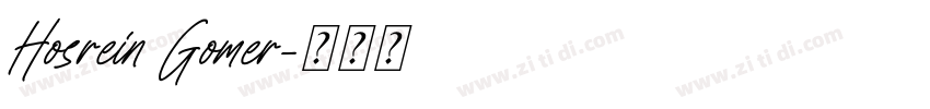 Hosrein Gomer字体转换